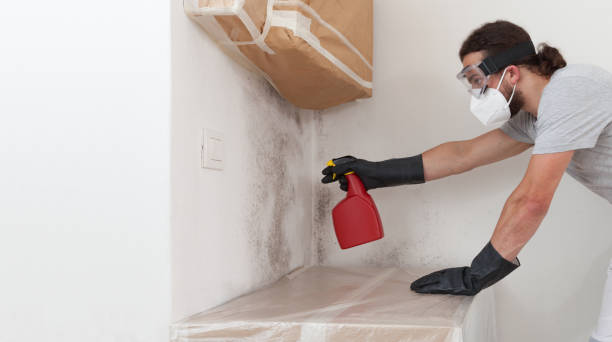Professional Mold Removal technician working in Onemo, VA